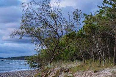 DeFi Token Performance & Investor Trends Post-October Crash: A 2025 Analysis of the Hard Data