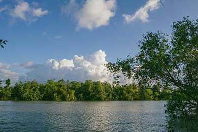 DeFi Token Performance & Investor Trends Post-October Crash: A 2025 Analysis of the Hard Data